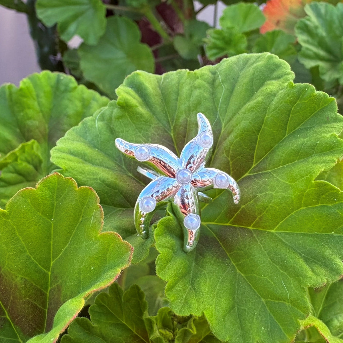 Anillo Estrella de Mar - Acero blanco