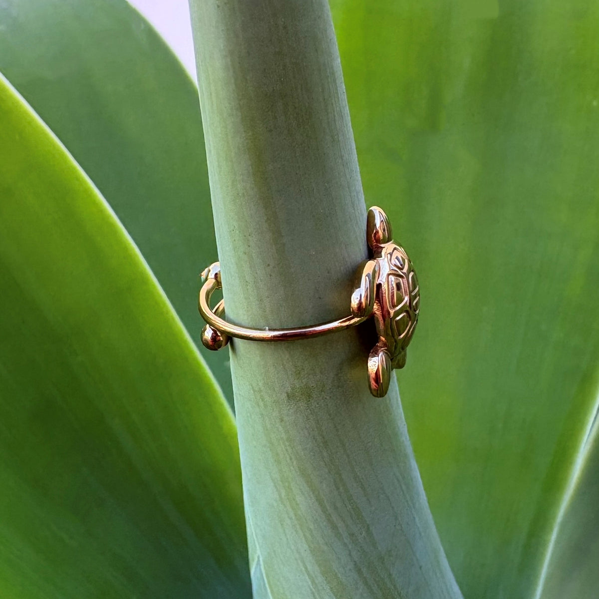 Anillo Tortuguita - Acero dorado