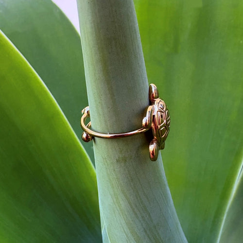 Anillo Tortuguita - Acero dorado